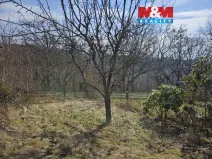 Prodej zahrady, Šternberk, 401 m2