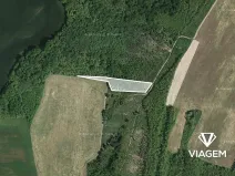 Prodej podílu lesa, Rybníky, 2697 m2