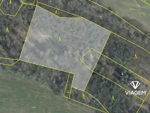 Prodej podílu lesa, Nosálov, 3167 m2