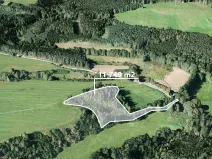 Prodej lesa, Svojšín, 11749 m2