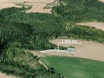 Prodej podílu lesa, Kokořín, 1843 m2