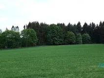 Prodej lesa, Zábřeh, 78836 m2