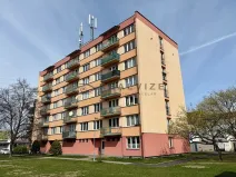 Prodej bytu 3+1, České Budějovice, Pod Lékárnou, 65 m2