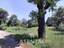 Prodej komerčního pozemku, Karviná - Doly, Sovinecká, 114814 m2