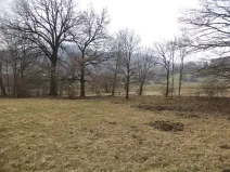 Dražba pozemku, Česká Kamenice, 5161 m2