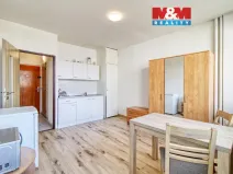Pronájem bytu 1+kk, Litvínov - Horní Litvínov, Mostecká, 21 m2