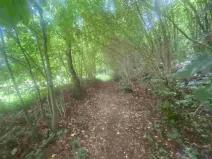 Dražba pozemku pro bydlení, Mladkov, 1004 m2