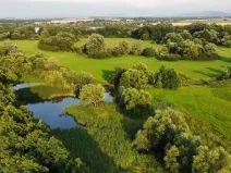 Dražba louky, Pustějov, 9886 m2