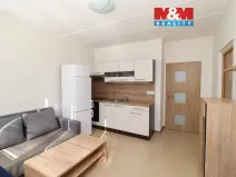 Prodej bytu 1+1, Chodov, U Porcelánky, 36 m2