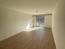 Pronájem bytu 1+kk, Praha - Vršovice, Pod soutratím, 37 m2