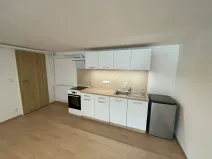 Pronájem bytu 1+kk, Troskotovice, 47 m2