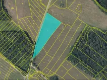 Prodej louky, Horušice, 11014 m2