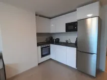 Pronájem bytu 1+kk, Praha - Žižkov, Hartigova, 37 m2