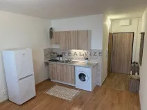 Pronájem bytu 1+1, České Budějovice, O. Nedbala, 36 m2