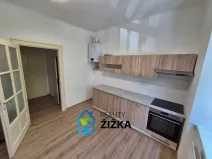 Pronájem bytu 1+1, Brno, Burešova, 47 m2