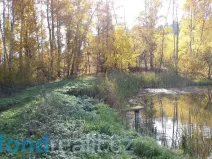 Prodej pozemku, Borovná, 1225 m2