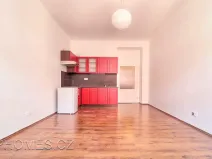 Pronájem bytu 1+kk, Praha - Holešovice, U průhonu, 21 m2