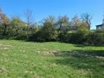 Prodej komerčního pozemku, Letovice, 2136 m2