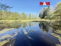 Prodej rybníku, Rychnov nad Kněžnou - Lipovka, 5963 m2