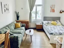 Pronájem bytu 1+kk, Praha - Karlín, Šaldova, 25 m2