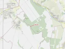 Dražba lesa, Přísnotice, 31 m2