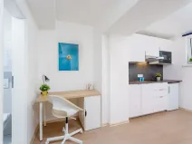 Prodej bytu 1+kk, Praha - Krč, Čerčanská, 20 m2