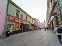 Prodej obchodního prostoru, Přerov, Wilsonova, 280 m2