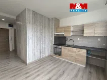 Pronájem bytu 1+1, Ústí nad Labem - Severní Terasa, Oblá, 41 m2