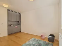 Pronájem bytu 1+kk, Brno, Mlýnská, 24 m2