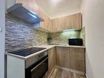 Pronájem bytu 2+kk, Plzeň, Mánesova, 43 m2