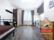 Pronájem bytu 1+kk, Teplice, Duchcovská, 19 m2