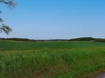 Prodej pole, Očelice, 10689 m2
