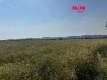 Prodej pole, Město Albrechtice, 224621 m2