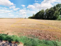 Prodej pole, Týnec, 7872 m2