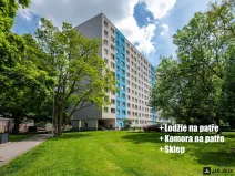 Prodej bytu 2+1, Pardubice - Polabiny, Gagarinova, 46 m2