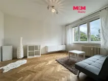 Pronájem bytu 1+1, Horní Slavkov, U Lesoparku, 35 m2