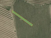 Prodej sadu/vinice, Vracov, 912 m2