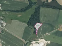 Prodej pole, Bor, 14739 m2