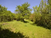 Prodej zahrady, Hostěrádky-Rešov, 705 m2