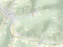 Dražba lesa, Vsetín, 939 m2