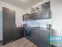 Pronájem bytu 2+kk, Ostrava, Důlní, 55 m2