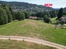 Prodej pozemku pro bydlení, Tanvald - Žďár, 2000 m2