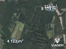 Prodej podílu lesa, Bělá pod Bezdězem, 2524 m2