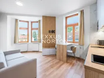 Prodej bytu 1+kk, Praha - Podolí, Sinkulova, 25 m2
