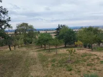 Prodej zahrady, Slatinky, 2889 m2