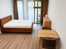 Pronájem bytu 1+1, Praha - Žižkov, V domově, 39 m2