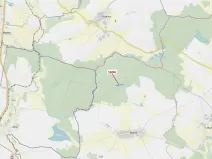 Dražba lesa, Žirovnice, 5755 m2