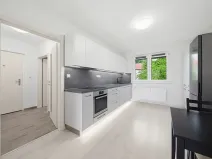 Pronájem bytu 2+kk, Ostrov, Halasova, 55 m2