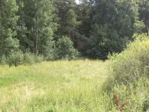 Dražba louky, Chodský Újezd, 2441 m2