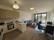 Pronájem bytu 2+kk, Praha - Holešovice, V háji, 62 m2